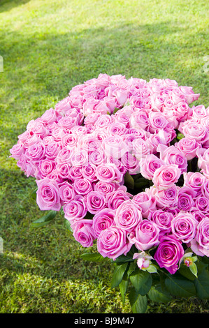 Un gros bouquet de roses roses sur un champ d'herbe Banque D'Images