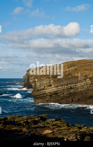 Dh YESNABY Seacliffs Orcades calme hiver météo ciel bleu et la mer Banque D'Images