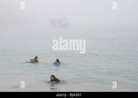 Les touristes la natation dans l'océan, dans le Parc National d'Arcadia, Bar Harbor, États-Unis Banque D'Images