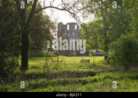 Roche Abbey, Maltby Beck, Rotherham, South Yorkshire Banque D'Images