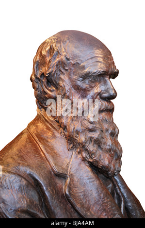 Charles Darwin, buste, Académie des Sciences de New York Banque D'Images