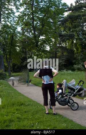 Paris, France, Parcs urbains, paysage printanier, personnes visitant bois de Boulogne femme avec poussette Banque D'Images
