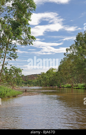 La natation dans la rivière Todd à Alice Springs Banque D'Images