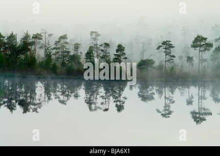 Lac du Bois avec l'augmentation de la vapeur d'eau à partir d'une table. Matin dans la taïga. Brouillard sur la surface de l'eau. Lac tranquille. La Russie Banque D'Images