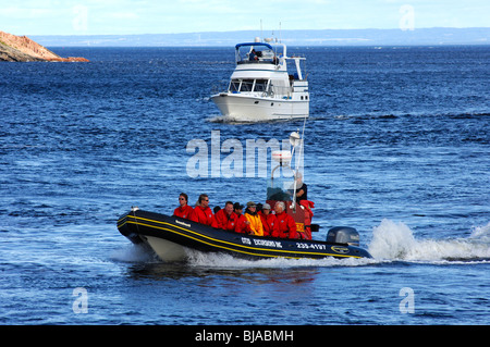 Les touristes dans un canot Zodiac sur une excursion d'observation des baleines sur le fleuve Saint-Laurent, Tadoussac, Canada Banque D'Images