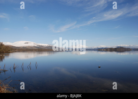 Réflexions de collines couvertes de neige et la neige Ben Lomond Mountain avec le Loch Lomond Dumbatonshire Ecosse Royaume-Uni UK Banque D'Images