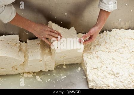 L'empilage des caillés tendues - fait partie de la fabrication du fromage artisanal Banque D'Images