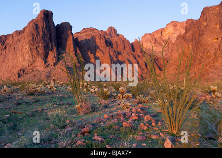 L'un des pics de montagne dans la Kofa National Wildlife Refuge de montagne au coucher du soleil. Dans l'avant-plan est Palm Canyon. Banque D'Images