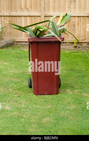 Représentant une poubelle débordante dans jardin Banque D'Images