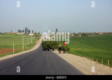 Les agriculteurs transportent leurs récoltes le long d'un chemin rural dans le nord-ouest du Maroc Banque D'Images