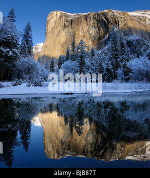 La lumière du matin sur El Capitan montagne en hiver reflète dans la Merced River avec des arbres couverts de neige dans la vallée de Yosemite National Park California USA
