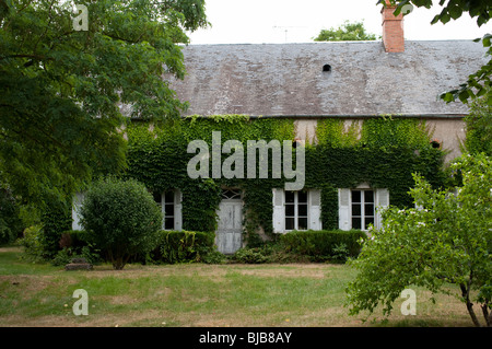 Un charmant vieux couverts de lierre cottage dans Saint-Satur, Cher, France Banque D'Images