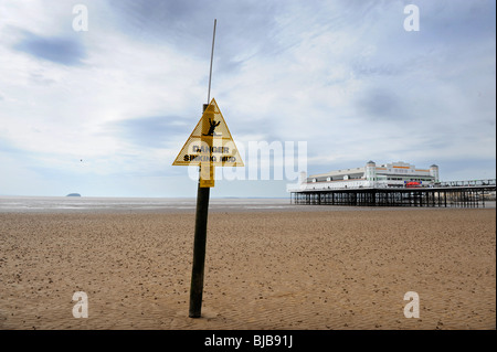 Vue générale de la plage à Weston-Super-Mare avec Grand pier et garde boue UK Banque D'Images