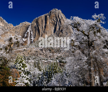 Arbres couverts de neige dans la vallée de Yosemite National Park yosemite par la partie supérieure des chutes d'automne en hiver usa Banque D'Images