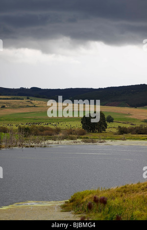 Ciel menaçant de l'approche d'une tempête sur une vallée luxuriante dans les Midlands, Kwazulu Natal, Afrique du Sud. Banque D'Images