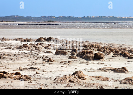 Le parc national du Coorong, Australie du Sud Banque D'Images