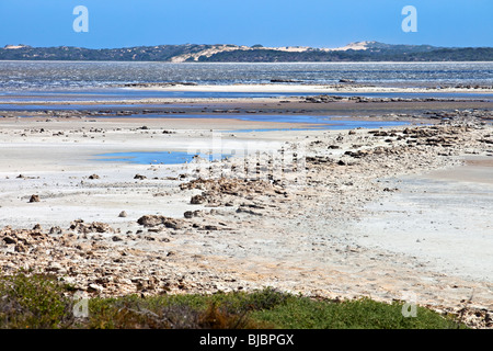 Le parc national du Coorong, Australie du Sud Banque D'Images