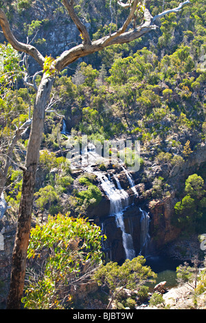 Mackenzie falls , le Parc National des Grampians, Victoria, Australie Banque D'Images