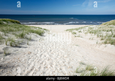 Mer du Nord, de la plage et des dunes de sable, l'île de Texel, Hollande Banque D'Images