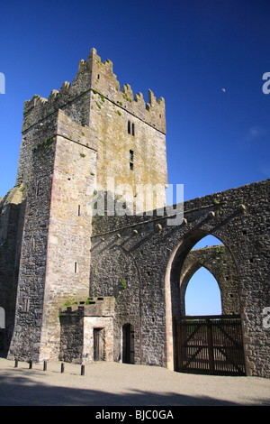 Abbaye de Tintern, Co Wexford, Irlande. Banque D'Images