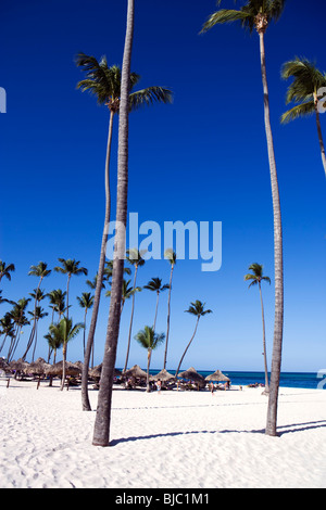 La plage de Bavaro, Punta Cana, République dominicaine. Banque D'Images