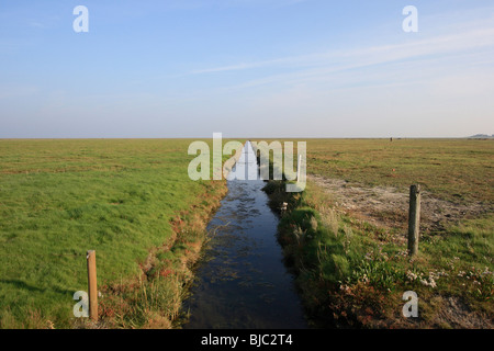 Hallig Hooge, Canal en Allemagne Banque D'Images