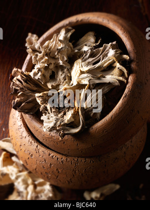 Photos stock champignons Maitake séchées Banque D'Images