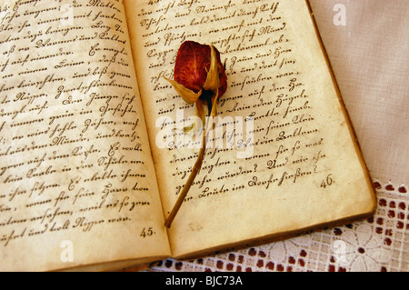 Rose rouge séché sur un vieux livre ouvert sur une nappe en dentelle Banque D'Images