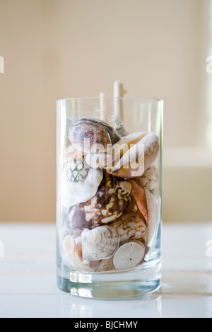 Les coquillages dans le verre Banque D'Images