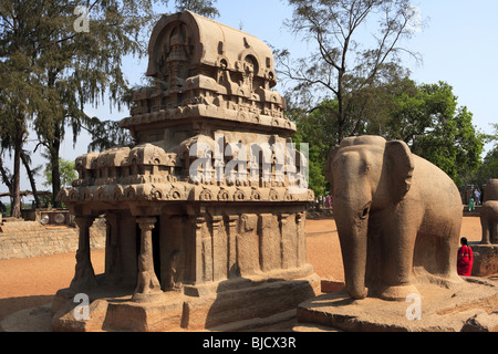 Nakul Sahadeva Ratha et statues d'éléphants et Pancha Rathas, Mahabalipuram Chengalpattu District ; ; ; Tamil Nadu Inde Banque D'Images