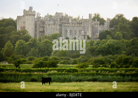 Château sur un pâturage. Banque D'Images