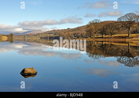 Lakeland rivage reflète dans Esthwaite Water, Cumbria, Angleterre Banque D'Images