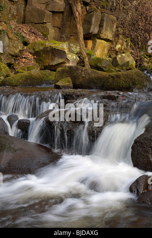 Gorge pittoresque Padley Derbyshire Peak District en Angleterre Banque D'Images