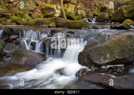 Gorge pittoresque Padley Derbyshire Peak District en Angleterre Banque D'Images