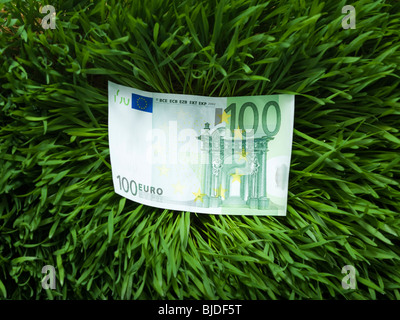 100 Euro note dans l'herbe. Banque D'Images