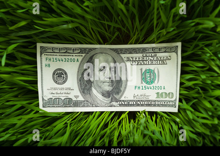 100 dollars dans l'herbe. Banque D'Images