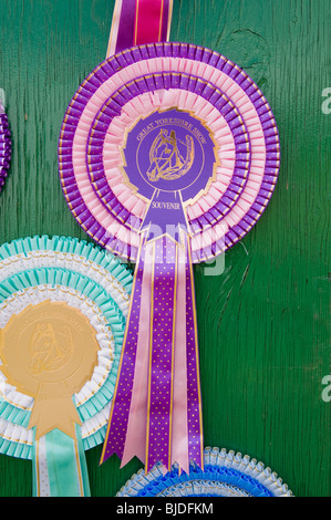 Rosettes de souvenirs du grand spectacle du Yorkshire, Harrogate. Banque D'Images