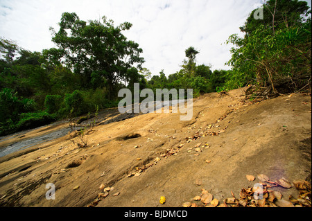 La forêt tropicale. National Phou Khao Khouay zone protégée. Ajo. Banque D'Images