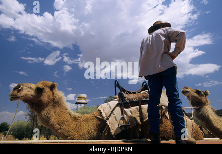 Camel rider australien/guide touristique pour ride safari. Frontier Camle ferme. Alice Springs, Territoire du Nord, Australie Banque D'Images