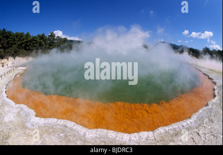 La célèbre géothermique de couleur Champagne Pool à Waiotapu thermal park ; près de Roturua Waikato ,, île du Nord, Nouvelle-Zélande Banque D'Images