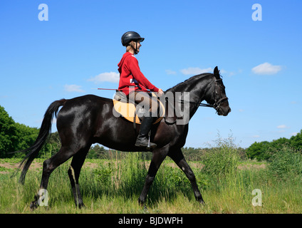 Teenage boy riding un étalon noir Banque D'Images