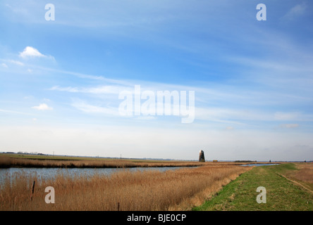 Cinq Mile House Moulin de drainage et sentier public par la rivière Bure à Runham, Norfolk, Royaume-Uni. Banque D'Images