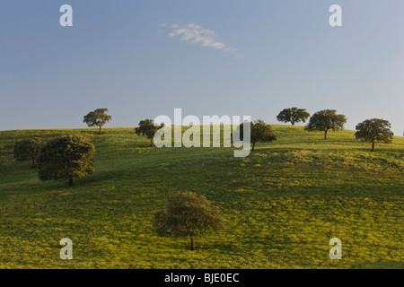 Au printemps, c'Arcos de la Frontera, Andalousie, Espagne Banque D'Images