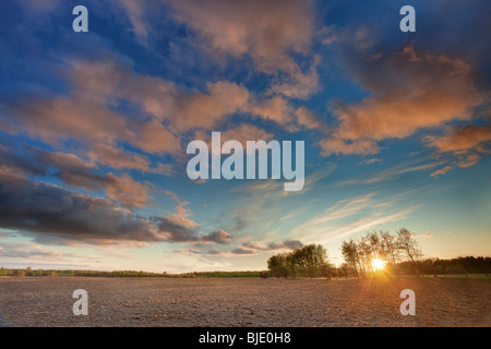 Champ fraîchement retournée au coucher du soleil, près d'Edmonton, Alberta, Canada Banque D'Images