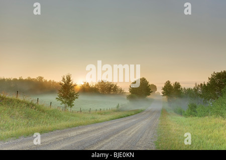 Backroad Rural exécute dans le brouillard lointain au lever du soleil, près de Stony Plain, Alberta, Canada Banque D'Images