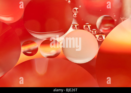 L'huile d'olive dans l'eau assis sur un fond rouge. Banque D'Images