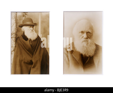 Portraits de Charles Darwin, dans ses dernières années Banque D'Images