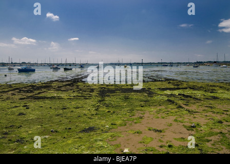 Emsworth Harbour sur une belle journée avec la marée à révéler les vieux parcs à huîtres le long de la rive, avec bateaux ancrés Banque D'Images