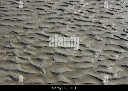 Ridges dans du sable mouillé à la plage formée par le vent et les vagues Banque D'Images