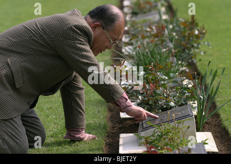 Cimetière de guerre du Commonwealth, Yokohama, Japon. Banque D'Images